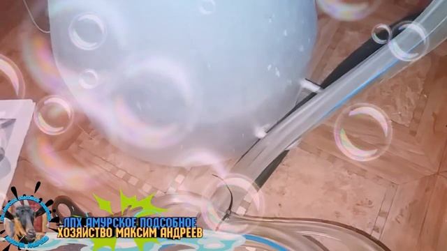 ОБЗОР доильного аппарата мду5 смотреть онлайн