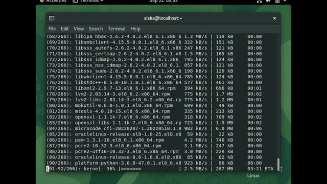 Kelompok 10 - Install Sqlite смотреть онлайн