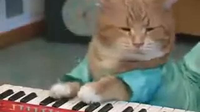 Dj Котэ смотреть онлайн