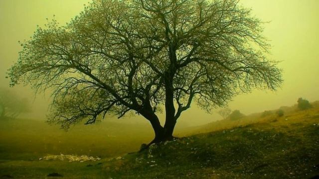 Wow Photo that are worth seeing at least once part-152 Фотографии которые стоит увидеть хотя бы раз смотреть онлайн