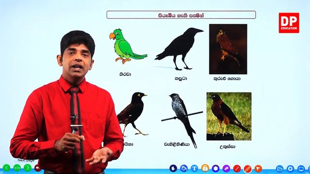 04 වන පාඩම | පරිසරය ආශ්රිත ක්රියාකාරකම් - අප අවට සත්තු - 01 වන කොටස | 05 ශ්රේණිය පරිසරය смотреть онлайн