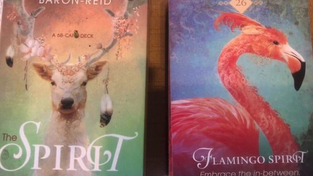 The Animal Spirit Oracle 26/68 Flamingo guide book audio description смотреть онлайн