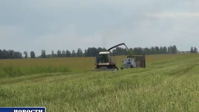 Подготовка к уборке. "Нурис" смотреть онлайн