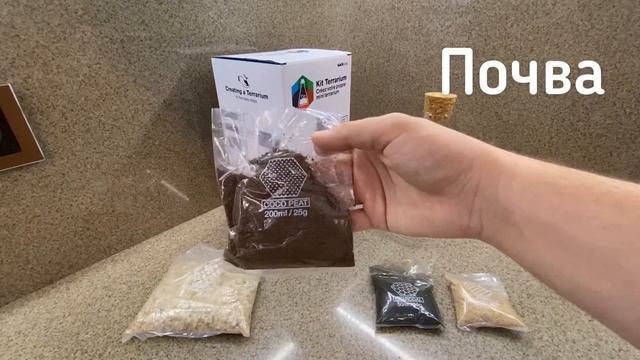 SUCK UK CHEMISTRY флорариум смотреть онлайн