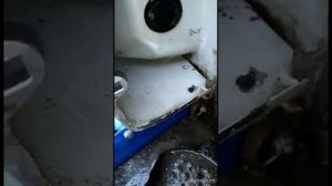 Лайфхак от Корейцев.Чистка дренажных отверстий на Солярисе. Часть 2.