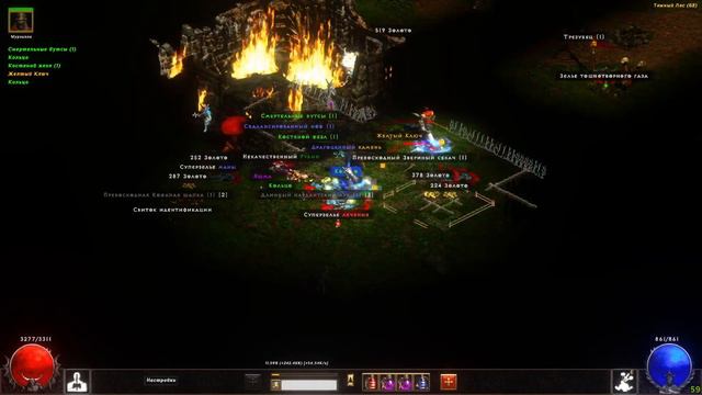 Diablo 2\Гроздья гнева\The Grapes Of Wrath\The Fury Within\Оральный варвар 11