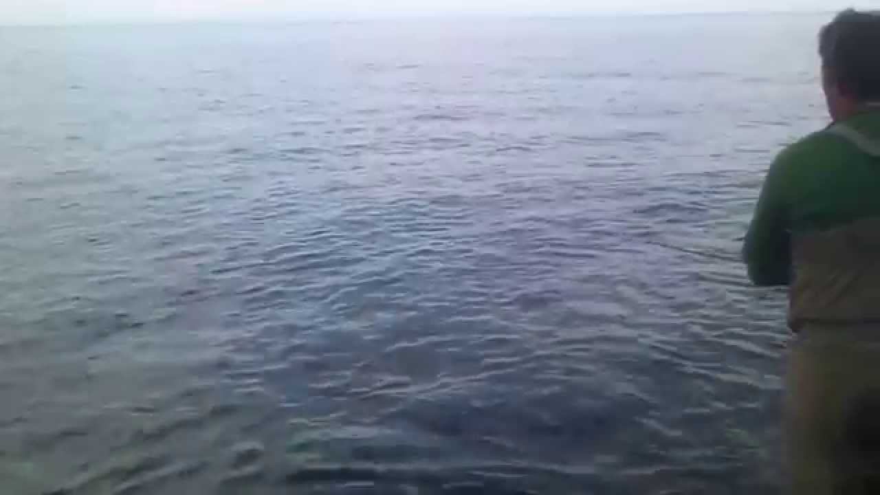 Байкал 12 Июля 2014