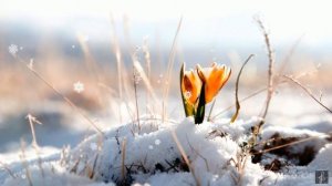 Валерий Ободзинский "Первое апреля" (" Ещё деревья спят под снежной тяжестью...")