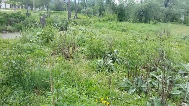 Геленджик с.адербиевка убрали карточки в магазине ,можно ли без налички купить что нибудь смотреть онлайн