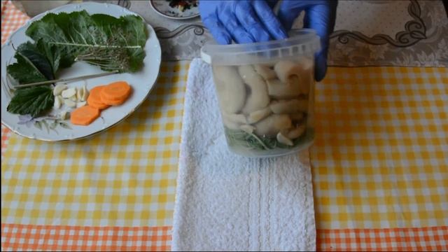 ГРУЗДІ на замовлення. Готуємо квашені гриби до пересилки. смотреть онлайн