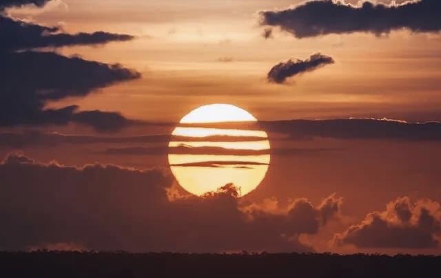 Проверила опытным путём...