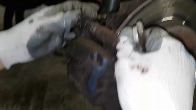 Чистота без границ