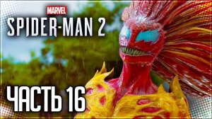 Spider Man 2 / Человек Паук 2 Прохождение PS5 |#16| - КРИК и АНТИ-ВЕНОМ!
