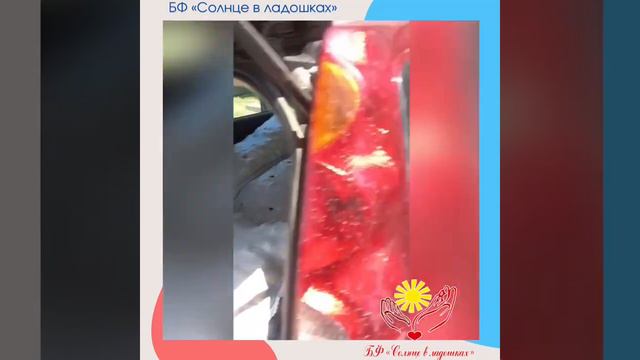 Добрый волшебник - фермер передал в большом объёме картофель для семей смотреть онлайн