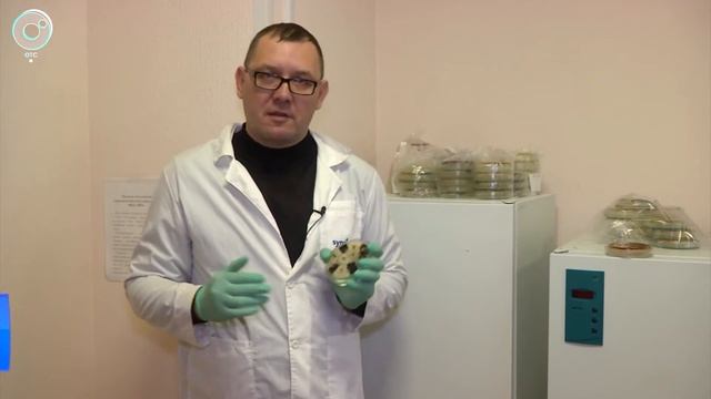 Новый подход к сельскому хозяйству. Почему учёные уверены - землю не нужно пахать? смотреть онлайн