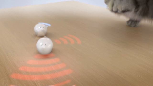 Mercedes Benz China : Cat
