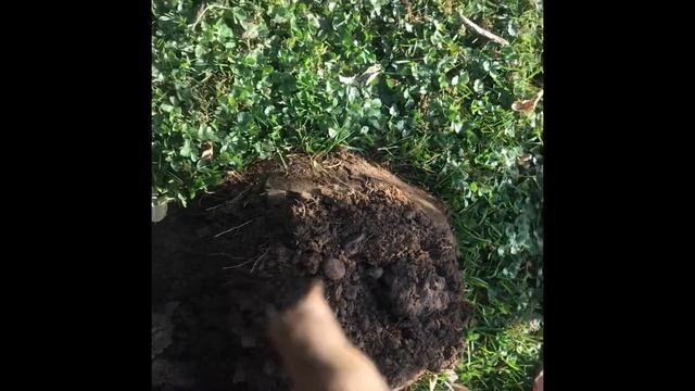 Skull Uncovered смотреть онлайн