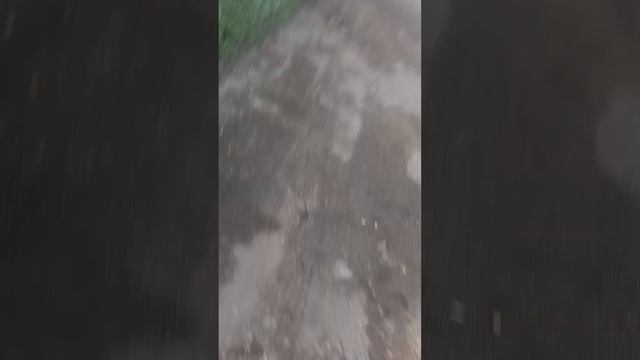 делаю трюки на самокате в трусах смотреть онлайн