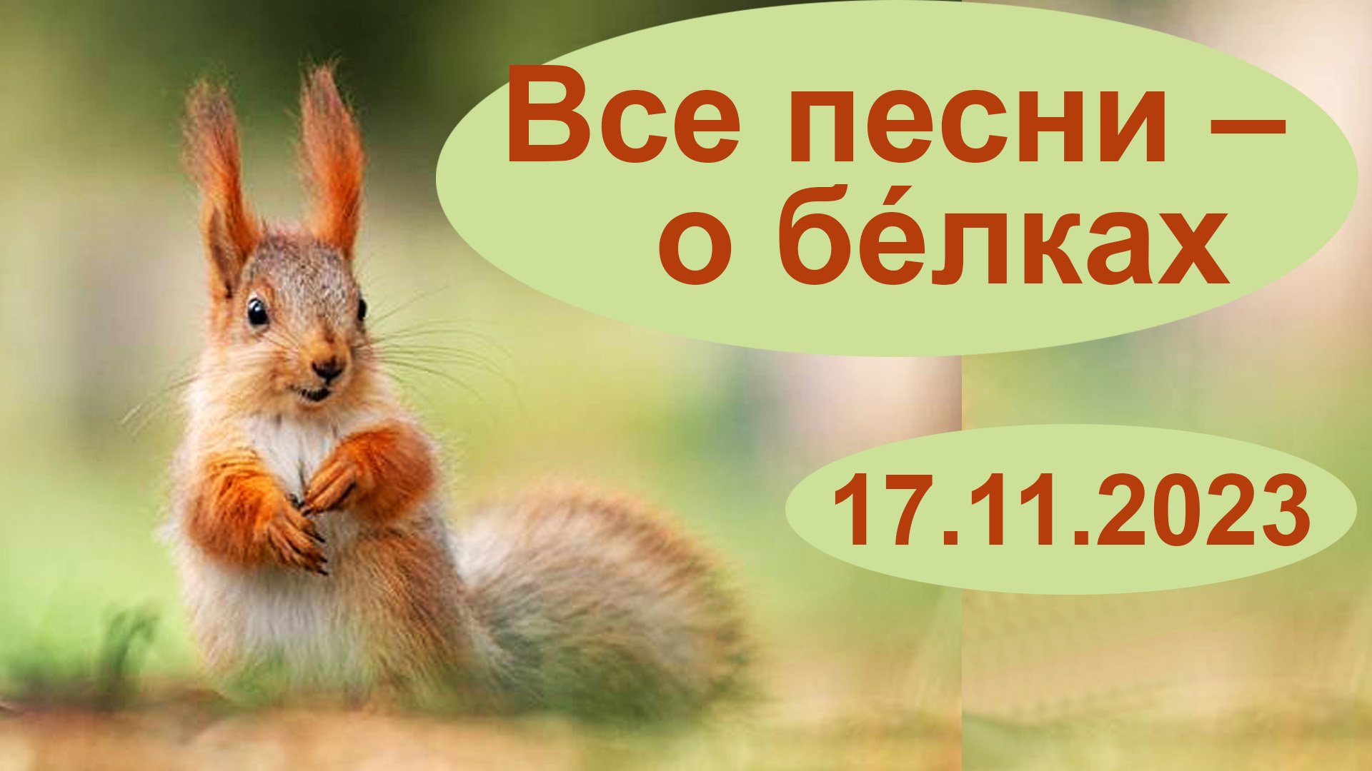 18+  Все песни – о бéлках.  17.11.2023