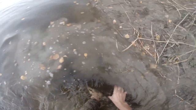 на подергушку 8 кг щука!!! смотреть онлайн