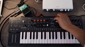 BOSS SL-2 Unpacking and Use It Create Something
