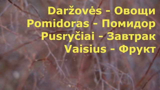 0003 Фразы. Литовский язык. смотреть онлайн