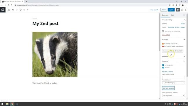 WordPress - Post Categories and tags смотреть онлайн