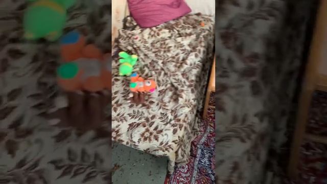 Чип : характер и повадки Котов, Собак, Птиц, Семейство Куньих и т.д. интересный и умный Зверь☝️? смотреть онлайн