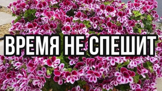 ВРЕМЯ НЕ СПЕШИТ ХРИСТИАНСКИЙ СТИХ смотреть онлайн