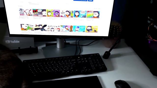 Моё рабочее место + ВОПРОС-ОТВЕТ (Анимация LOLka)