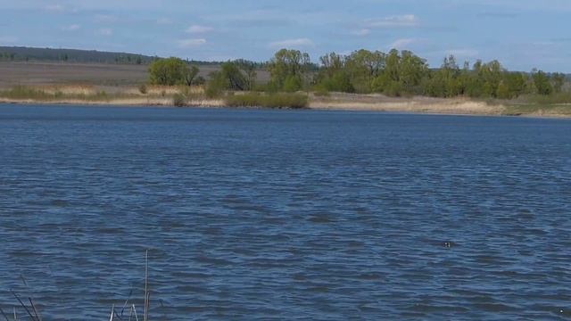 "Платник" Радищево. смотреть онлайн