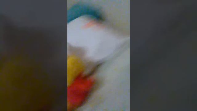 Eeveelution Squad Plush Adventures | Episode 1: The Beginning Of The End