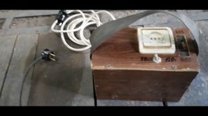 Как обездвижить свинью.