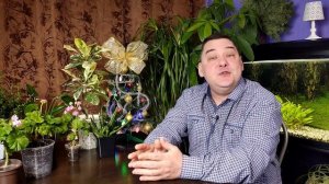 Эпин или Циркон: что лучше? Хотите узнать правду?)