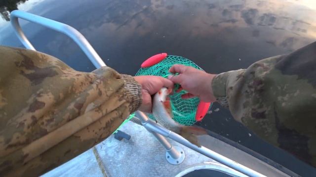 Вечерняя рыбалка на банку. Река Вычегда. смотреть онлайн