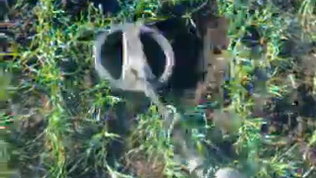 Котяково смотреть онлайн