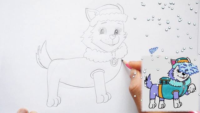 Рисуем ВСЕХ ЩЕНКОВ мультфильма ЩЕНЯЧИЙ ПАТРУЛЬ: МАРШАЛ, ЗУМА, СКАЙ, ЭВЕРЕСТ, ГОНЧИК, КРЕПЫШ, РОККИ. смотреть онлайн