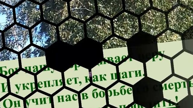 Земля полна чудес! смотреть онлайн