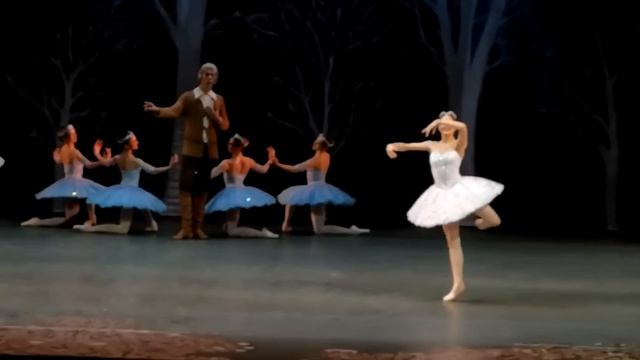 Eleonora Sevenard NEW Prima Ballerina of the Bolshoi Ballet 2023 смотреть онлайн