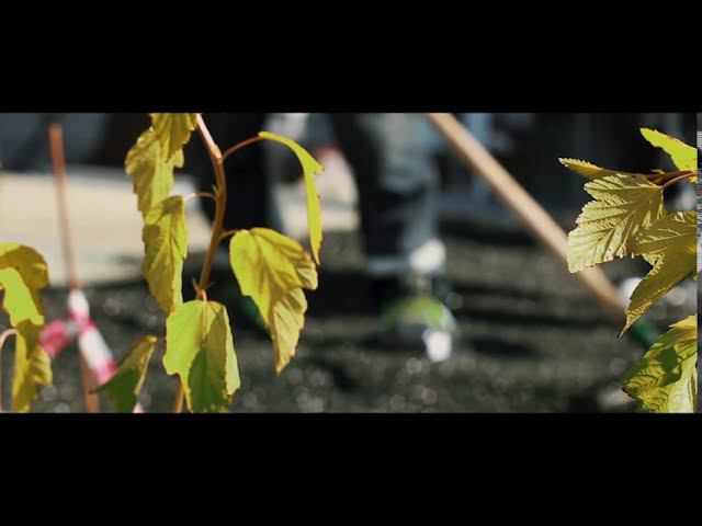 Благоустройство территории ЖК "Нагорный". Июнь 2020г. смотреть онлайн