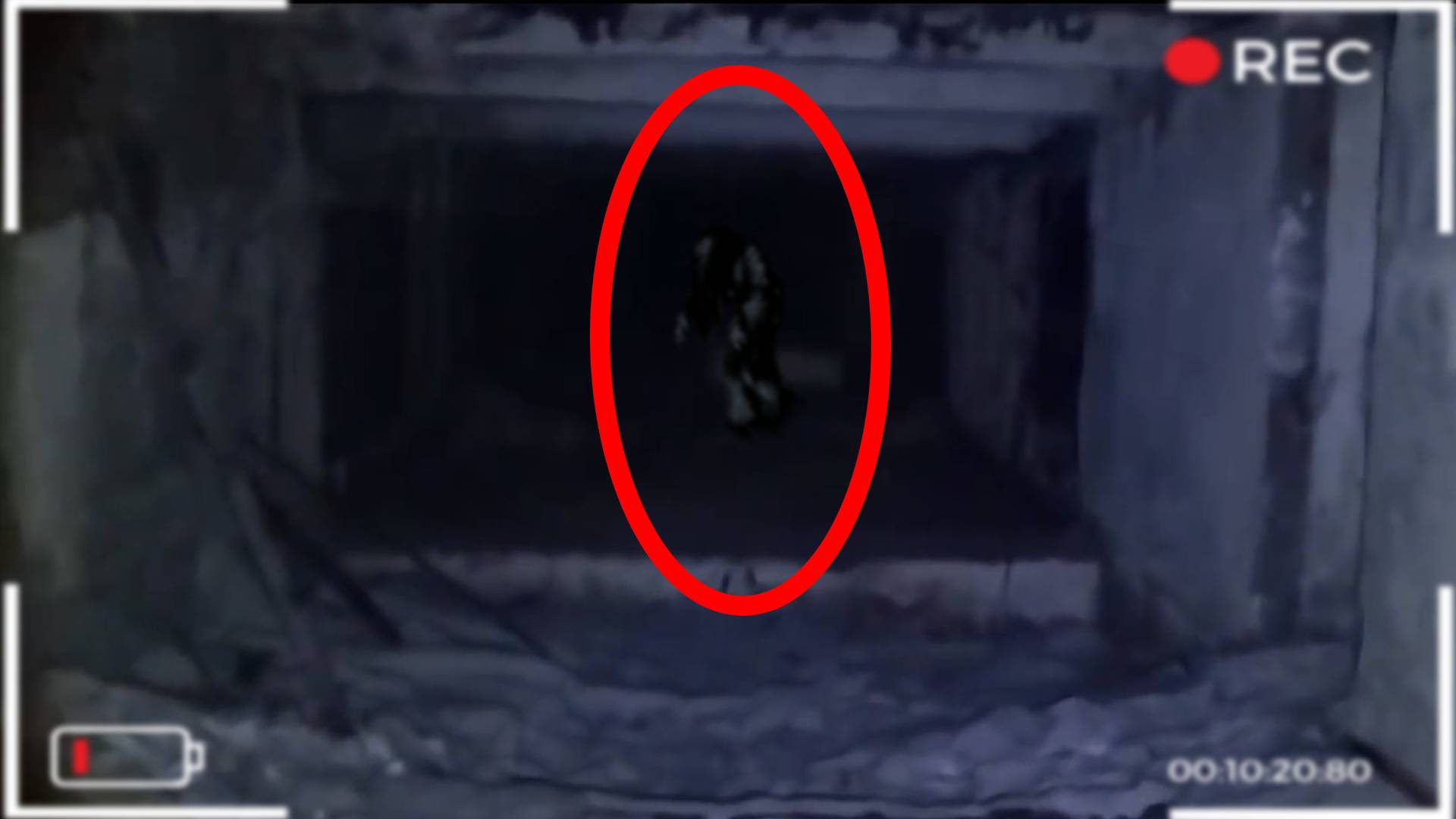 Встретил странное существо на заброшенной швейной фабрике смотреть онлайн