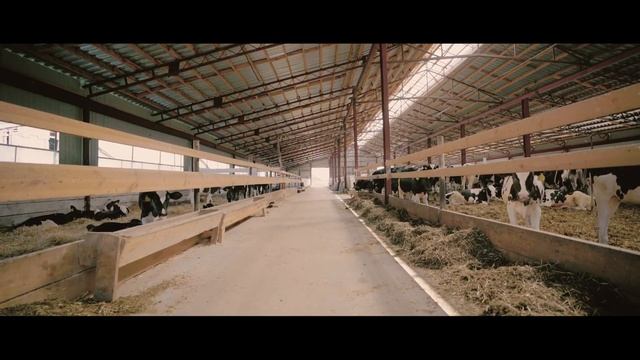 Комбайн RSM 161 - для сложных и разноплановых задач смотреть онлайн