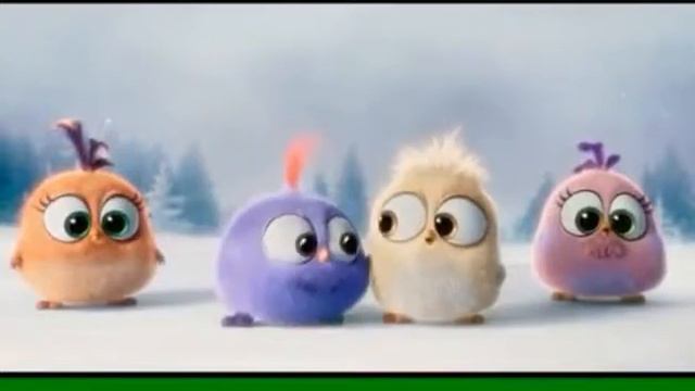 Angry Birds/ Little Birds смотреть онлайн