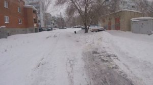 Бегущий лабрадор. Собака бежит Голопом. Черный слон. Тринити