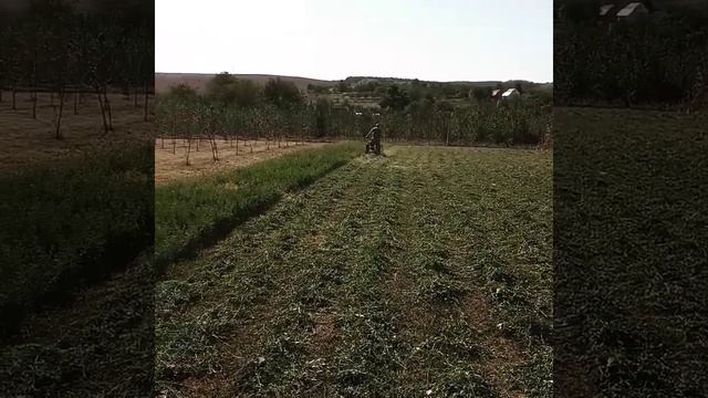 Робочі будні -косим смотреть онлайн