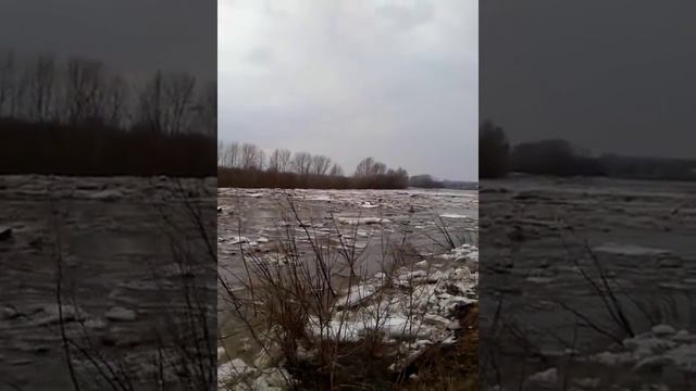 Лед пошел смотреть онлайн