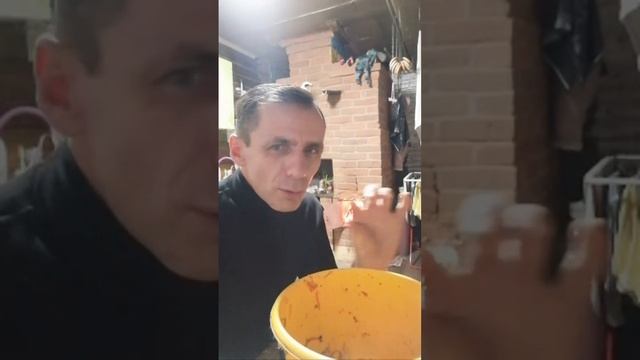 Простоквашино на связи! смотреть онлайн