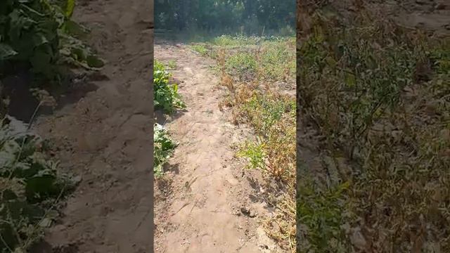 Пожар село чкалово ершовский район смотреть онлайн