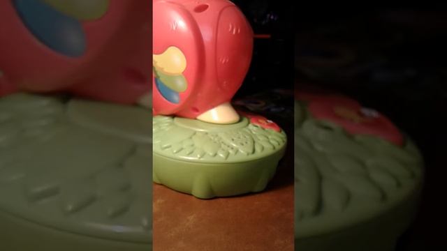 Попугай челлендж!!!часть 3? смотреть онлайн