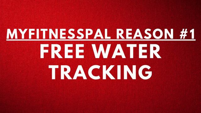 MyFitnessPal vs Lose It App (3 REASONS TO CHOOSE EACH APP) смотреть онлайн